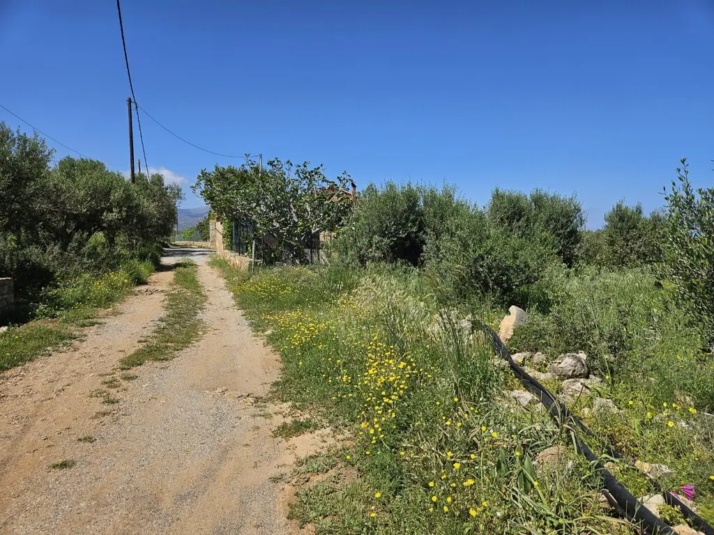 Land Of 4460 M² In Crete