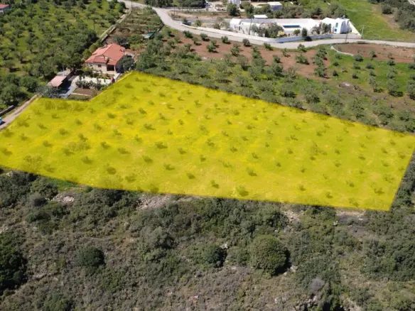 Land In Vrachasi, Greece