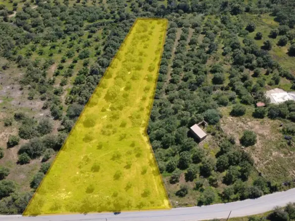 Land In Vrachasi, Greece
