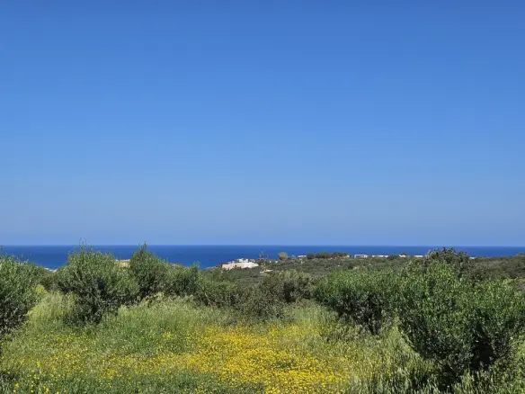 Land In Vrachasi, Greece