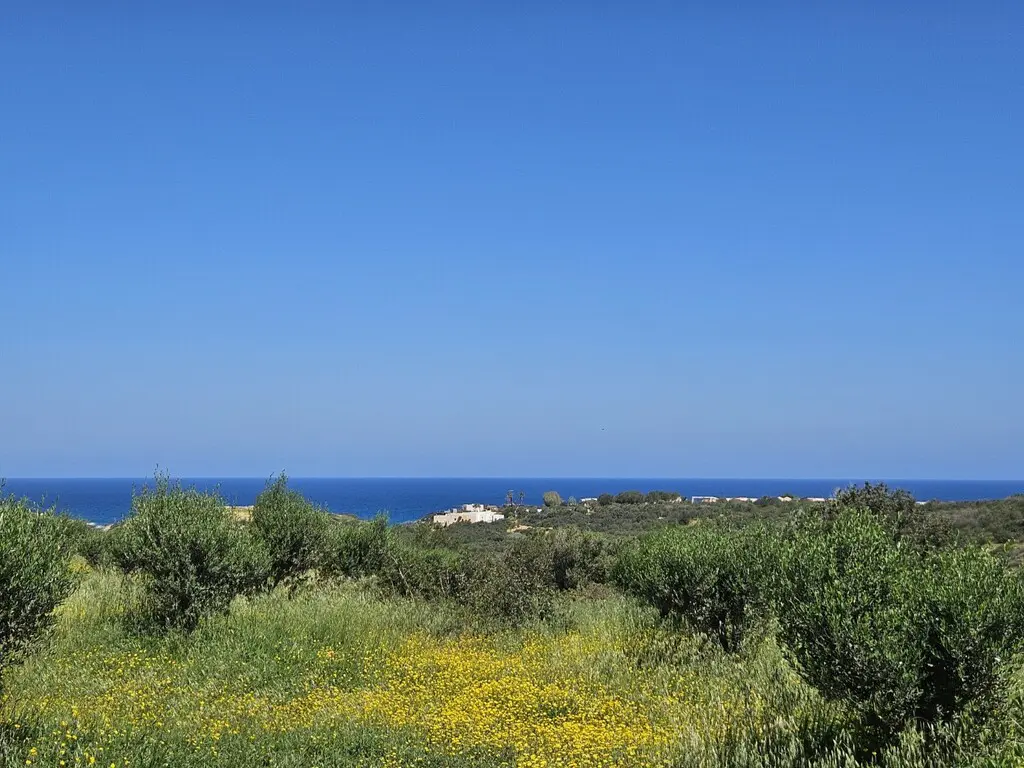 Land Of 4460 M² In Crete