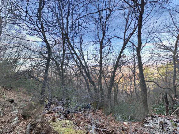 Land In Chortiatis, Greece