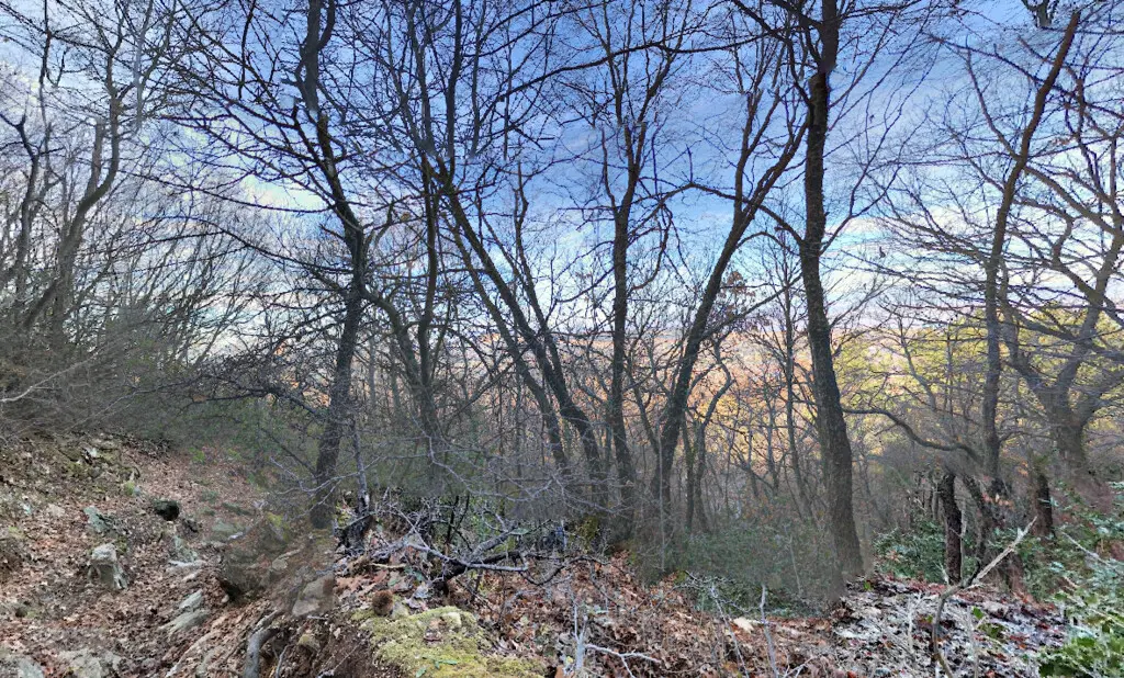 Land Of 2531 M² In The Suburbs Of Thessaloniki