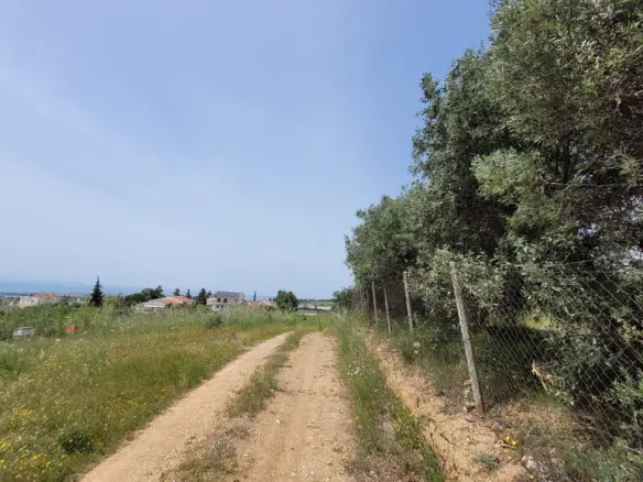 Land In Panorama, Greece