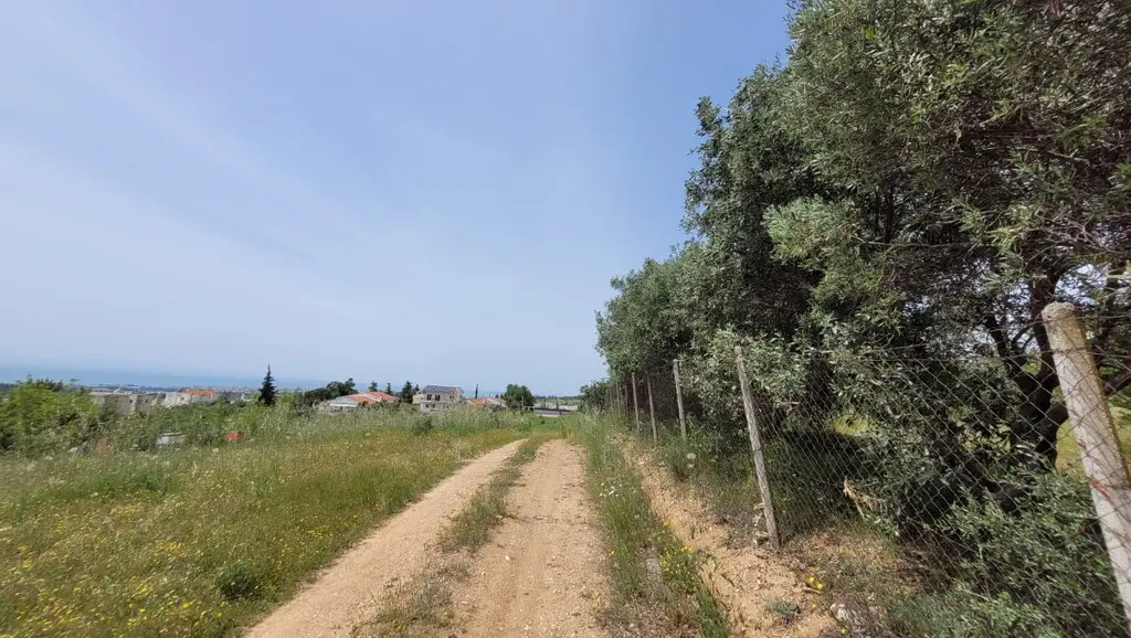 Land Of 5000 M² In The Suburbs Of Thessaloniki