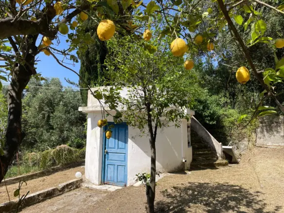 Land Of 2130 M² In Corfu