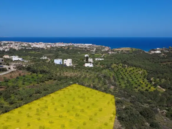 Land In Vrachasi, Greece