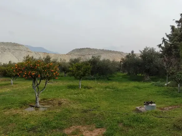 5-bedroom Detached House In Loutraki-perachora, Greece (225 M²)