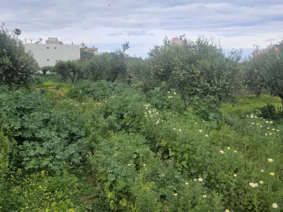 Land In Chersonisos, Greece