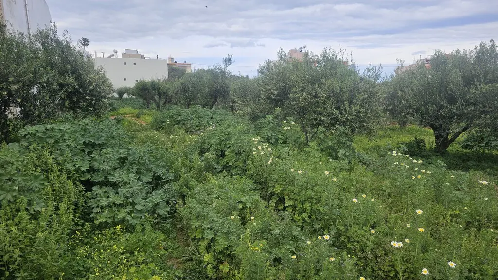 Land Of 1052 M² In Crete