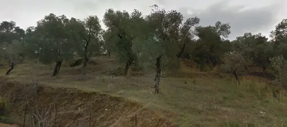 Land In Lesvos – Geras, Greece