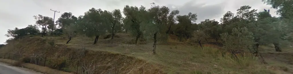 Land Of 24783 M² On Islands