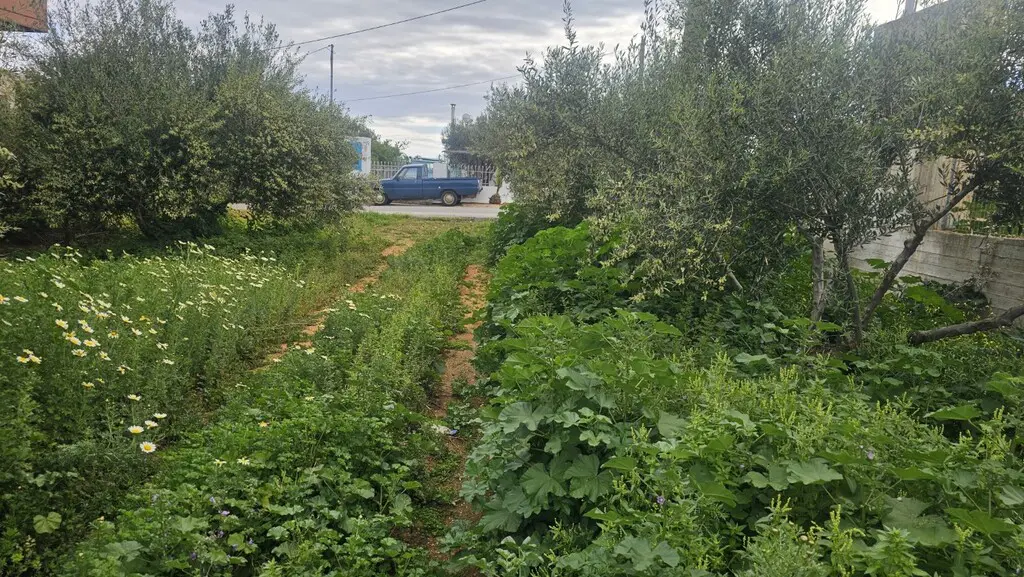 Land Of 1052 M² In Crete