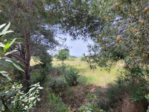 Land In Panorama, Greece