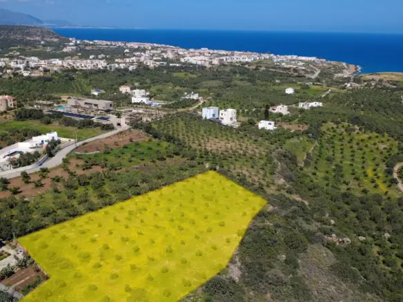 Land Of 4460 M² In Crete
