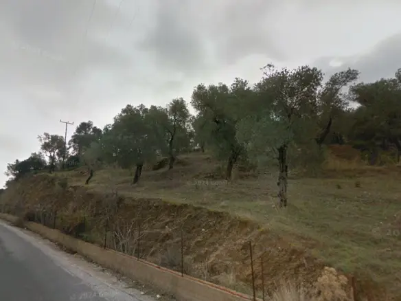 Land Of 24783 M² On Islands