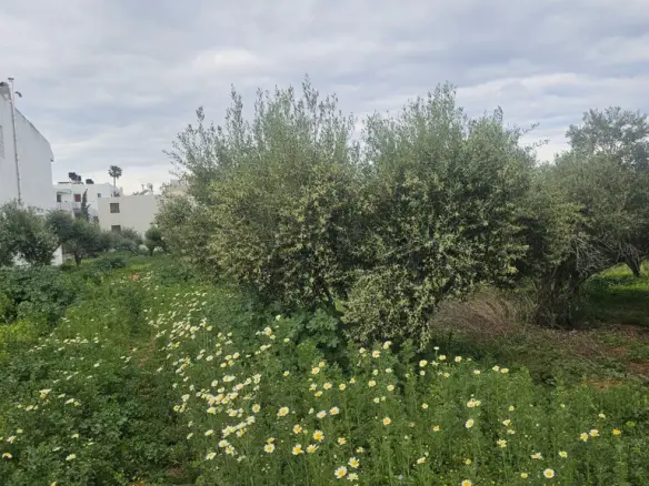Land In Chersonisos, Greece