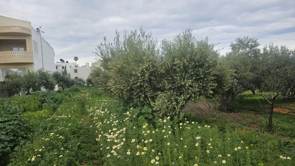 Land Of 1052 M² In Crete