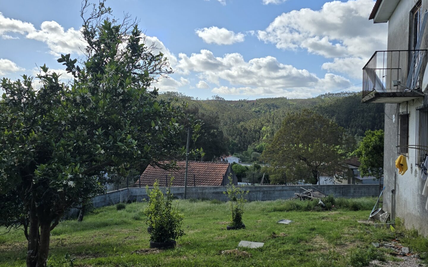 Independent House Of 100 M² With Walled Land And Ample Outdoor Space In Penela – Coimbra