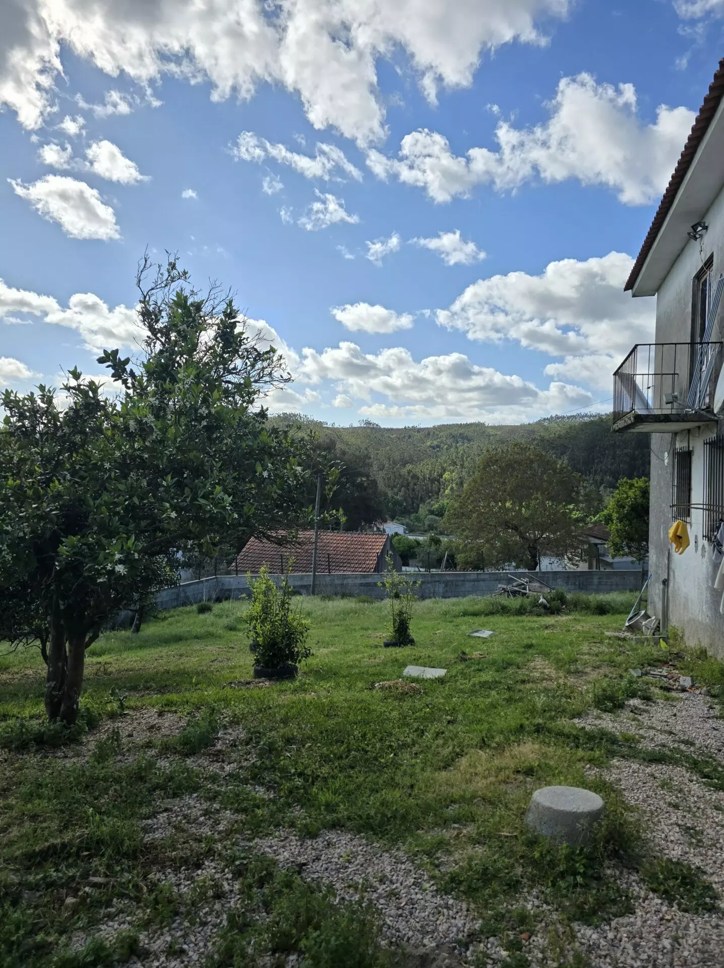 Independent House Of 100 M² With Walled Land And Ample Outdoor Space In Penela – Coimbra