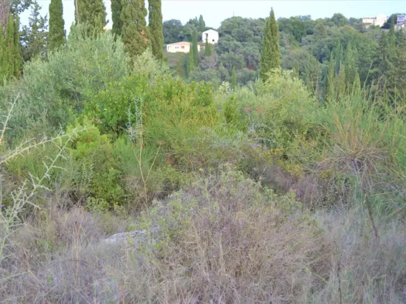 Land In Corfu, Greece