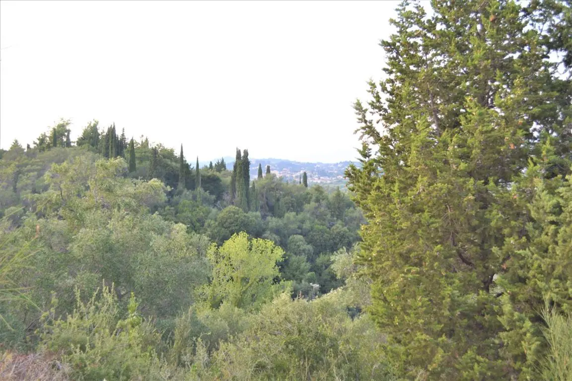 Land Of 5800 M² In Corfu