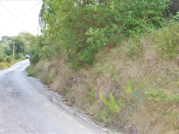 Land In Corfu, Greece