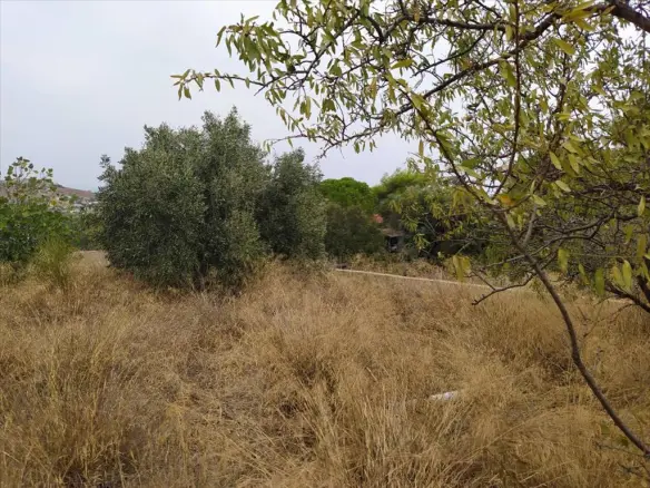 Detached House In Lavrio, Greece (150 M²)