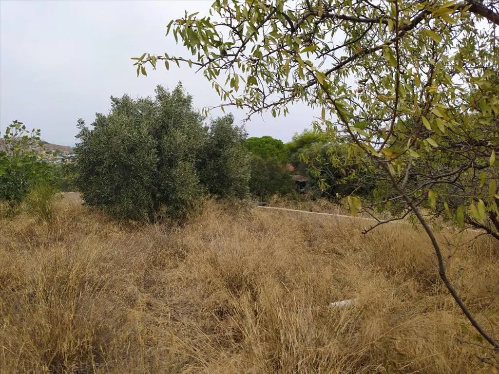 Detached House Of 150 M² In Attica