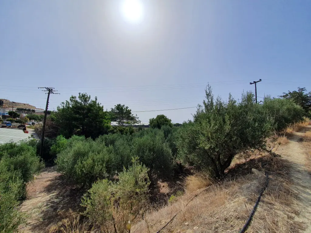 Land Of 4600 M² In Crete