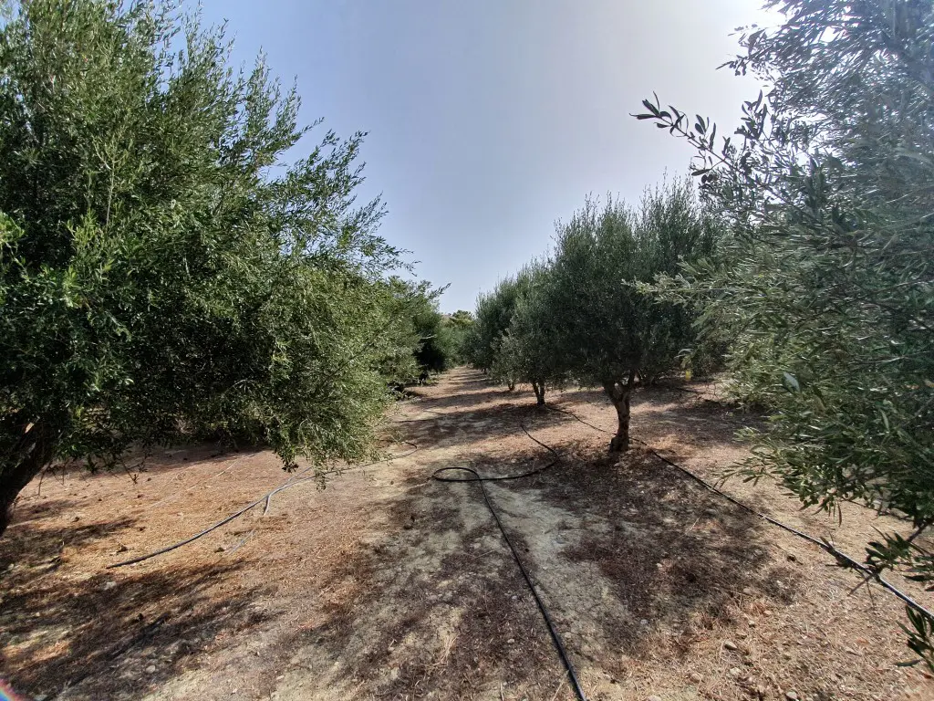 Land Of 4600 M² In Crete