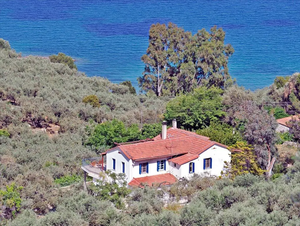 Land Of 20000 M² In Central Greece
