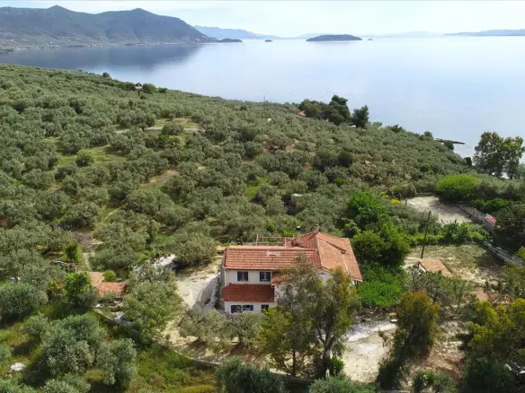 Land In Pelasgia, Greece
