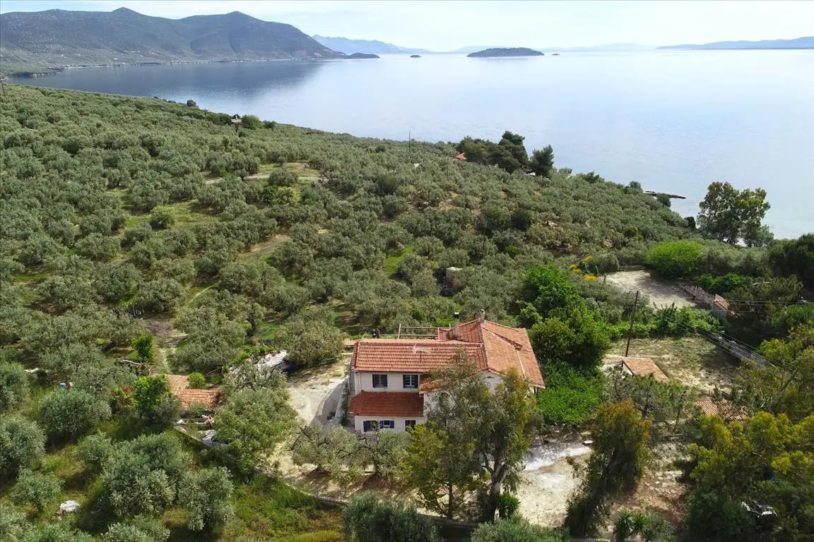 Land Of 20000 M² In Central Greece