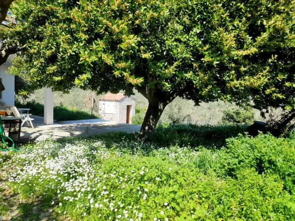 Land In Pelasgia, Greece