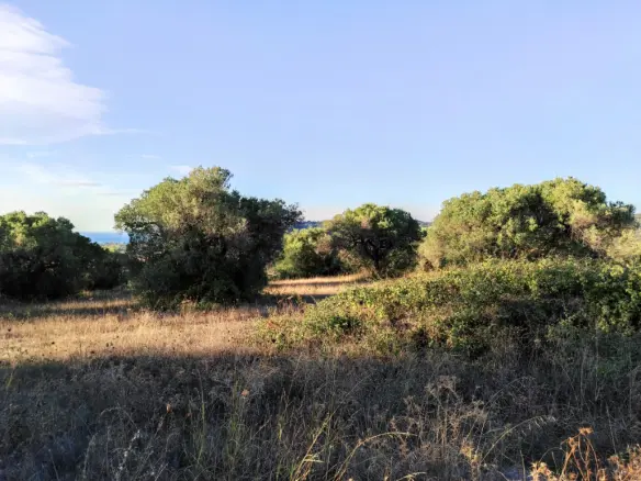 Land In Kassandra, Greece