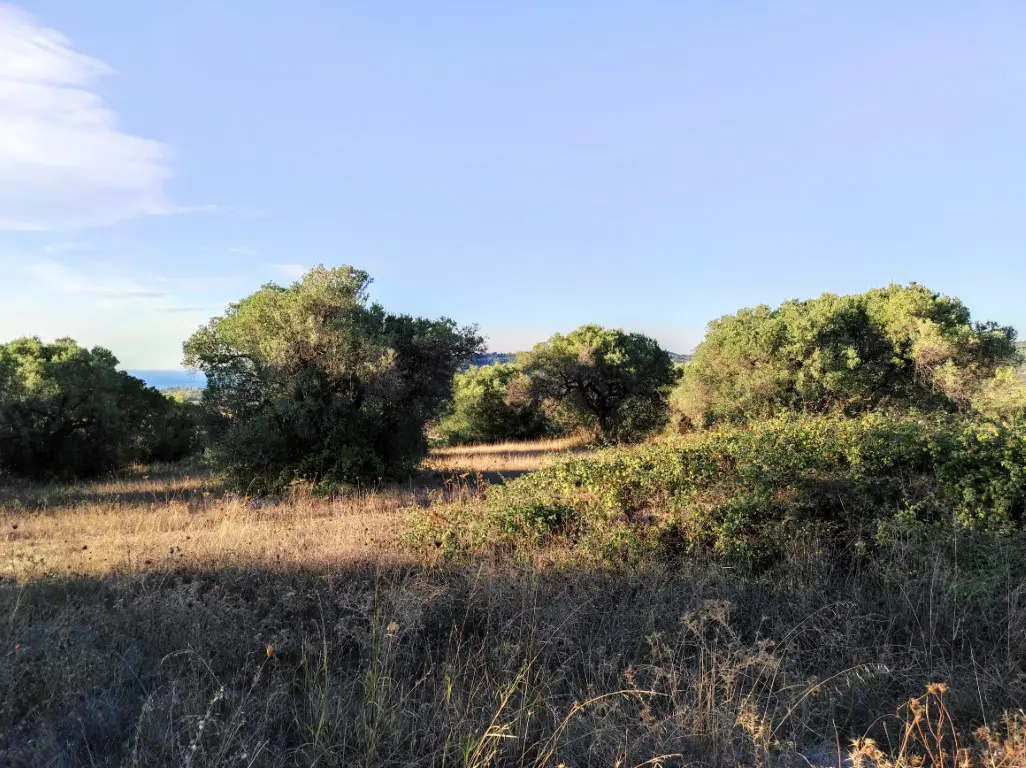 Land Of 5500 M² In Kassandra, Chalkidiki