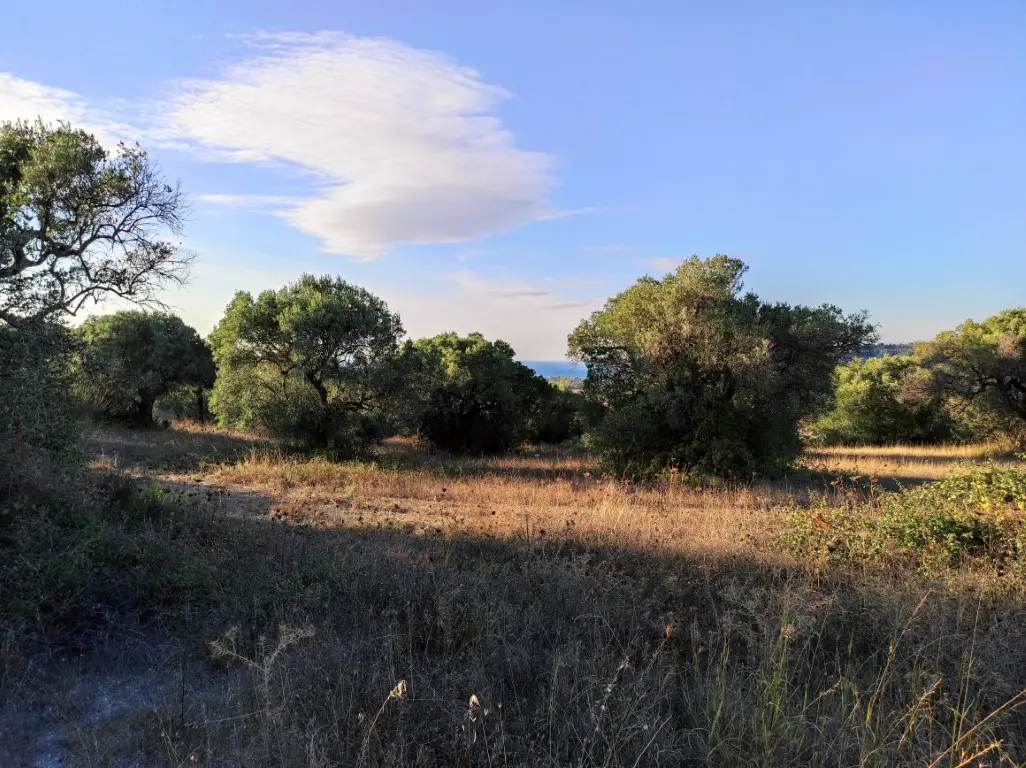 Land Of 5500 M² In Kassandra, Chalkidiki