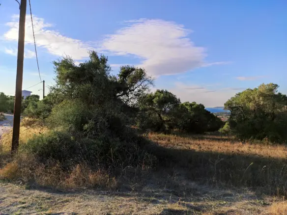 Land In Kassandra, Greece