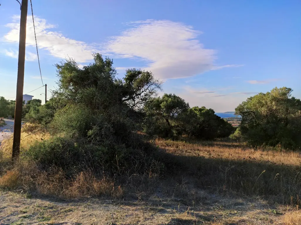 Land Of 5500 M² In Kassandra, Chalkidiki