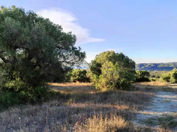 Land In Kassandra, Greece