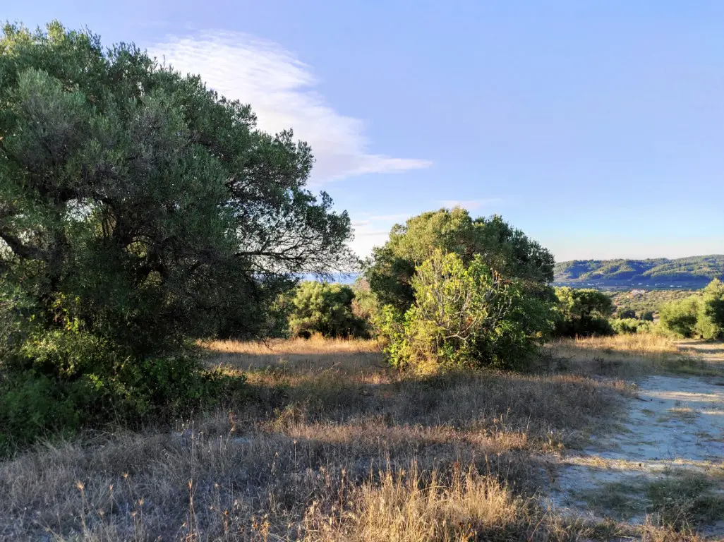 Land Of 5500 M² In Kassandra, Chalkidiki
