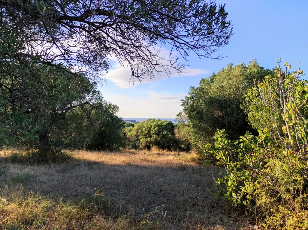 Land Of 5500 M² In Kassandra, Chalkidiki