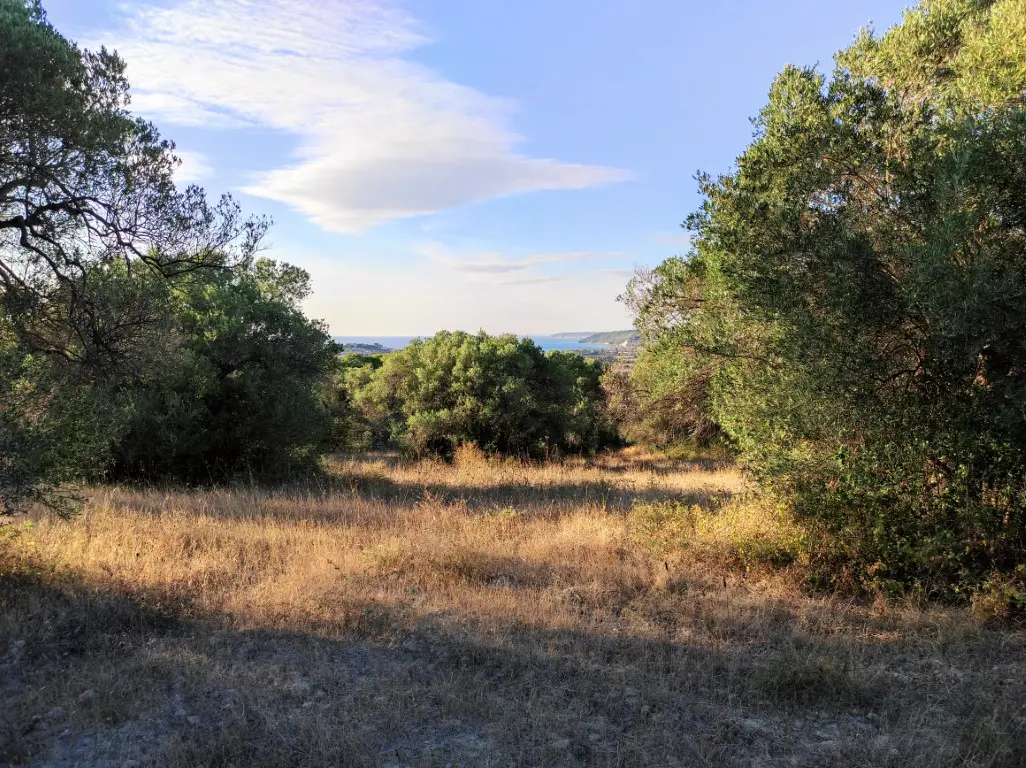 Land Of 5500 M² In Kassandra, Chalkidiki