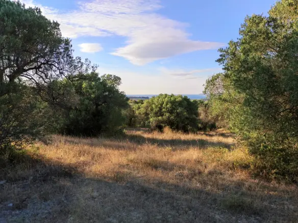 Land Of 5500 M² In Kassandra, Chalkidiki
