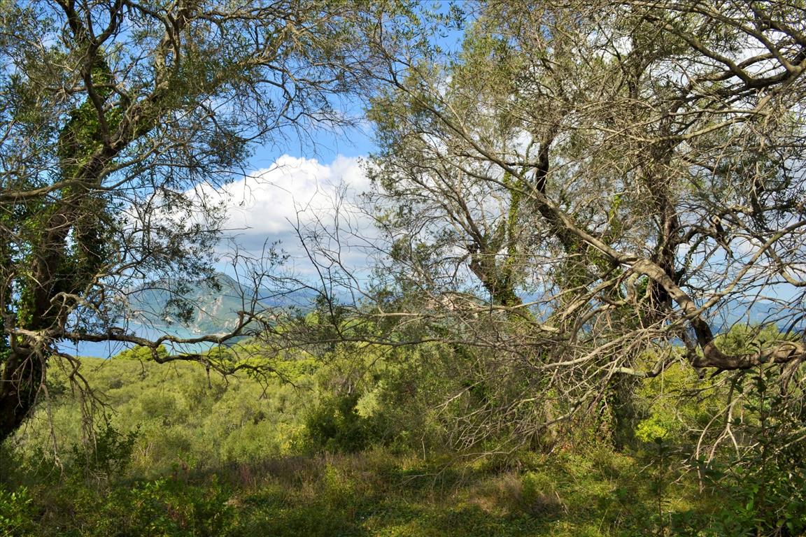 Land Of 4673 M² In Corfu