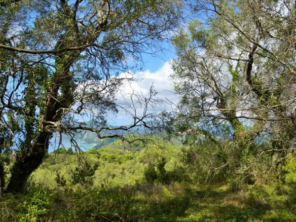 Land In Corfu, Greece