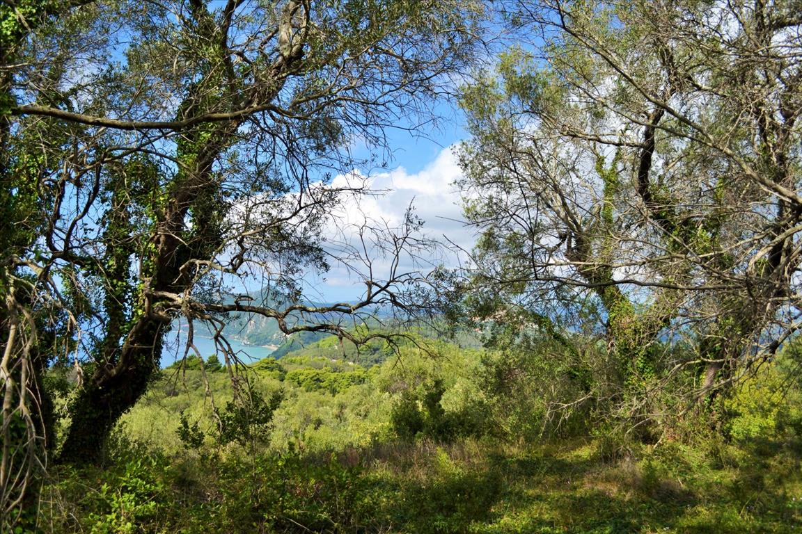 Land Of 4673 M² In Corfu