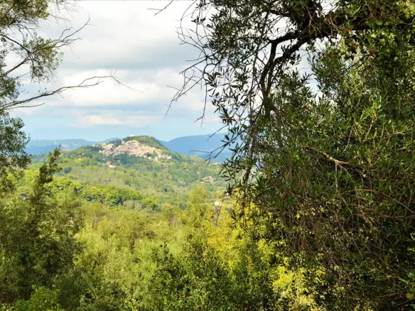Land In Corfu, Greece
