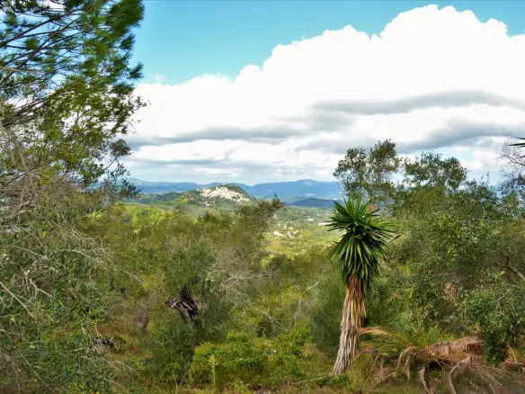 Land In Corfu, Greece